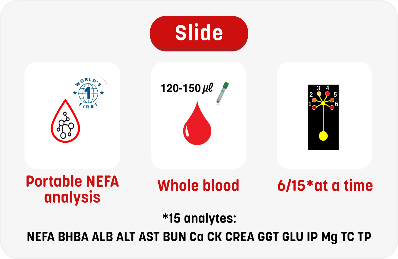 Slide NEFA analysis,Whole blood,6/15*at a time List(16*): NEFA, BHBA, PHOS, Ca, Mg, ALB, BUN, AST, ALT, GLU, GGT, TCHO, CK, CREA, TBIL, TP