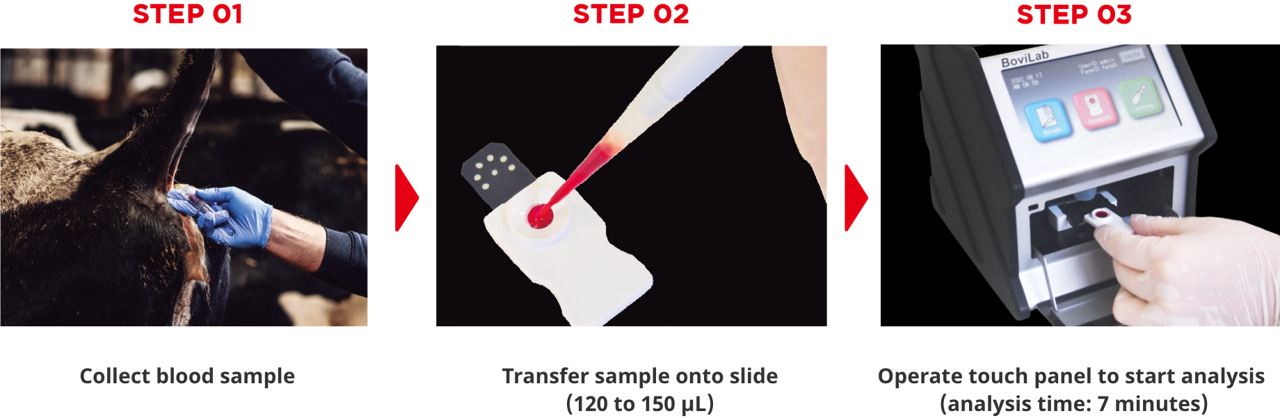 3 Simple Steps!