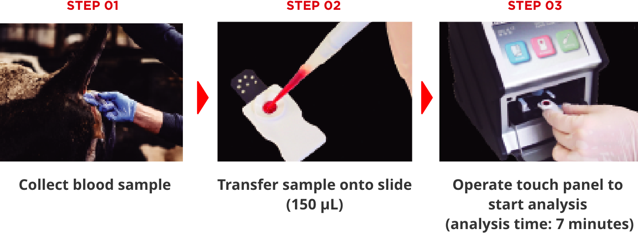 3 Simple Steps!