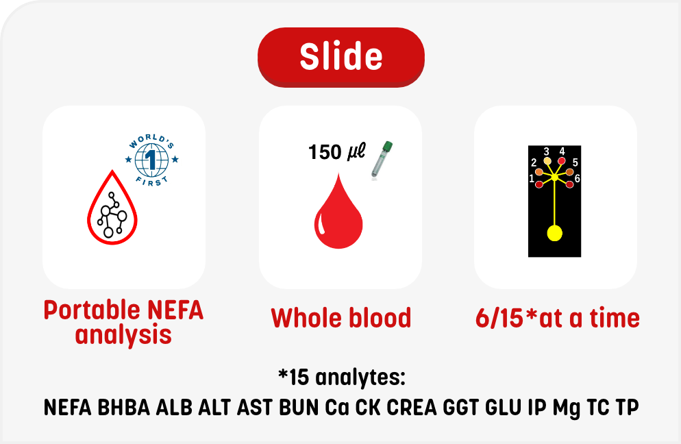 Slide NEFA analysis,Whole blood,6/15*at a time List(16*): NEFA, BHBA, PHOS, Ca, Mg, ALB, BUN, AST, ALT, GLU, GGT, TCHO, CK, CREA, TBIL, TP