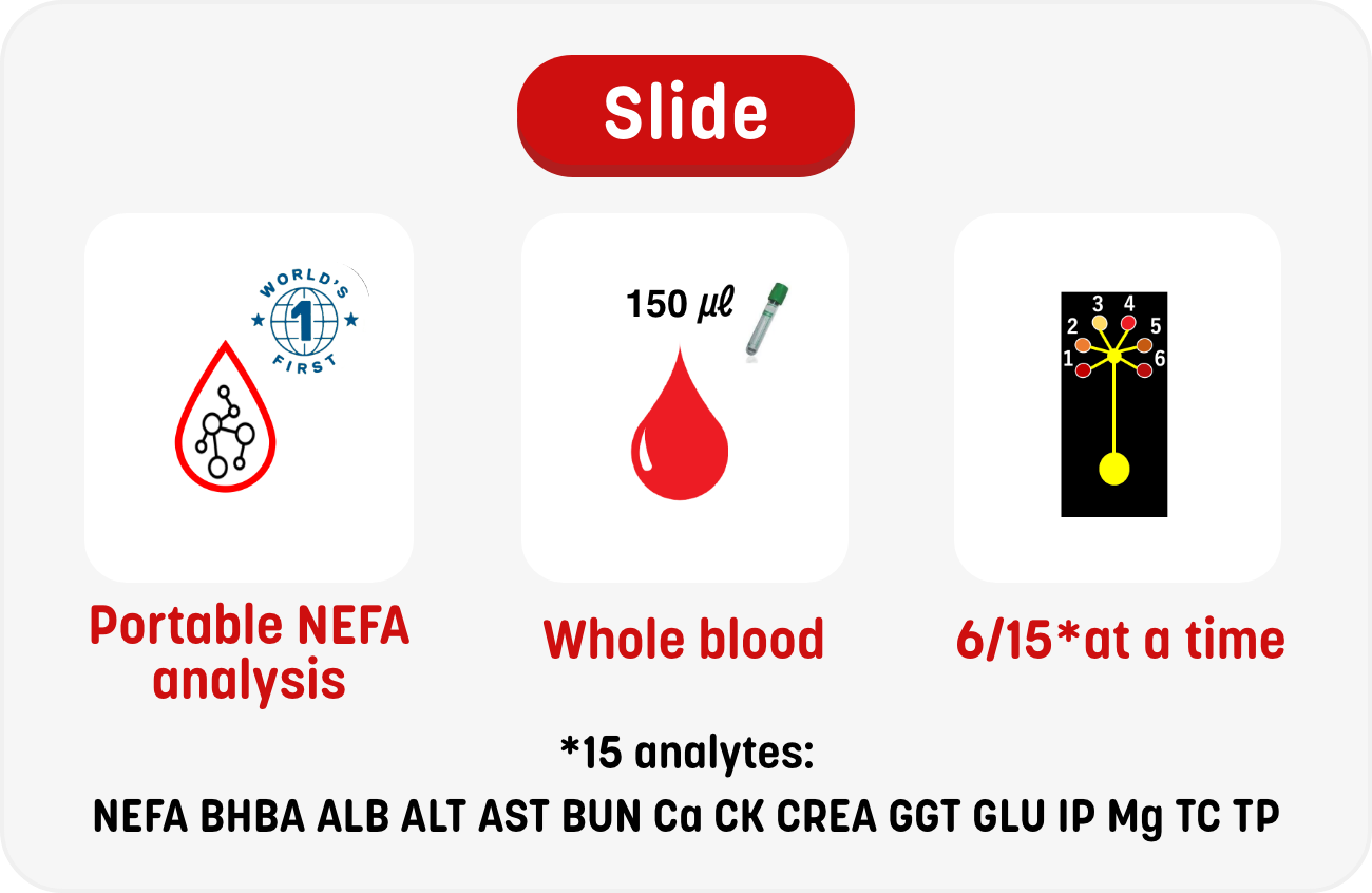 Slide NEFA analysis,Whole blood,6/15*at a time List(16*): NEFA, BHBA, PHOS, Ca, Mg, ALB, BUN, AST, ALT, GLU, GGT, TCHO, CK, CREA, TBIL, TP